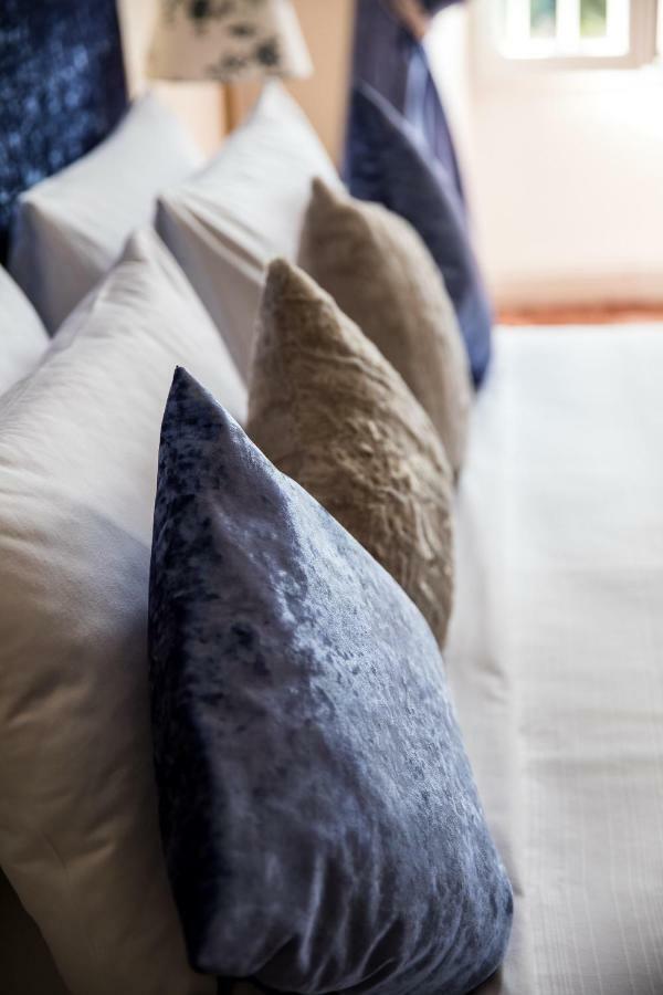 La Residence Chambre D'Hotes 생트 앙토낭 외부 사진